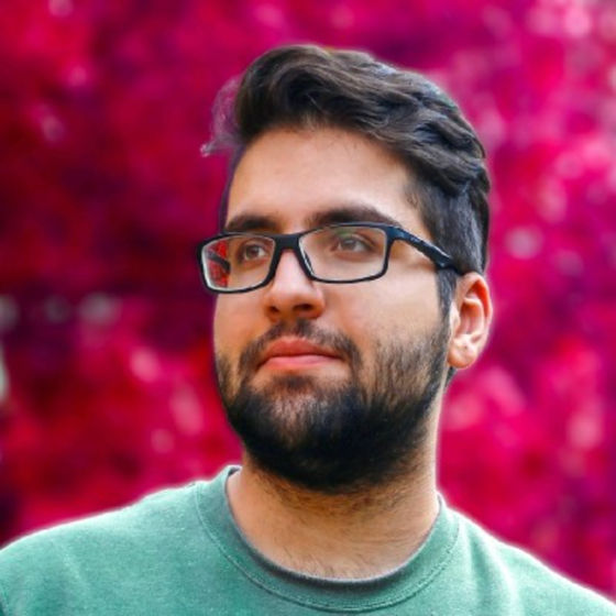 Profile image for SEYED SEPANTA HOSSEINIPOUYA