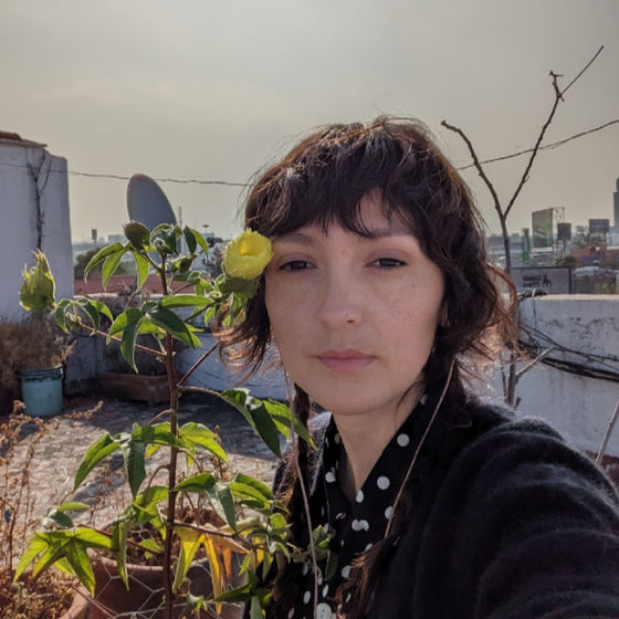 Profile image for Nancy Samara