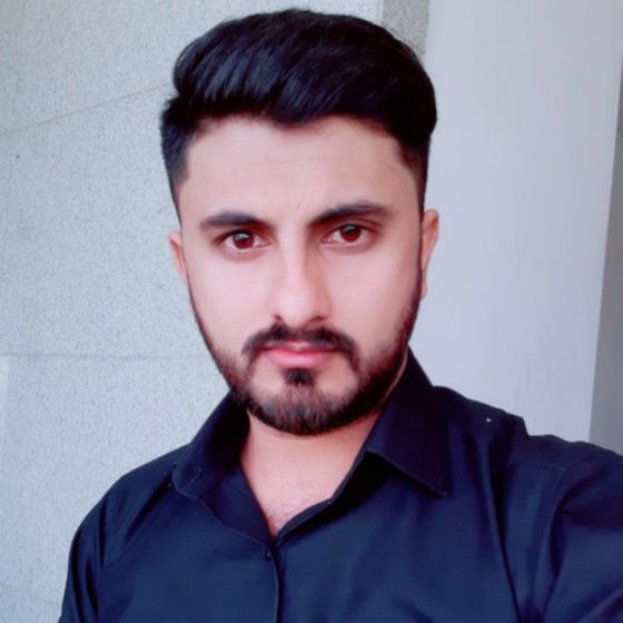 Profile image for Zaid Idrees