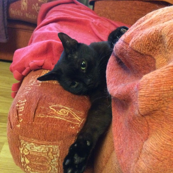 Profile image for Bríana Walsh