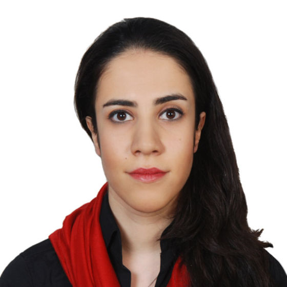 Profile image for shohreh arabshahi