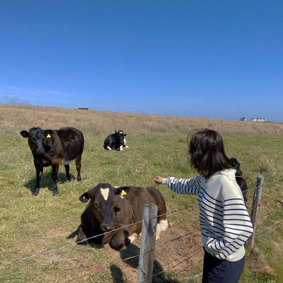 Profile image for Yiwen Jin