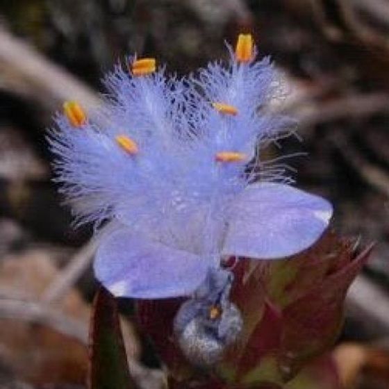 Profile image for Elena Nikolskaya