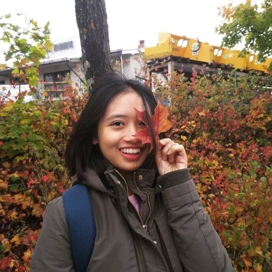 Profile image for Le Hoang Minh Anh