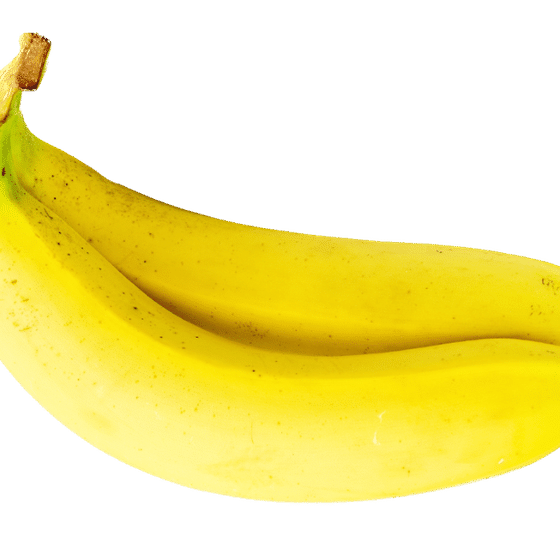 Profile image for John Kevin Butalon